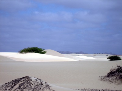Desert Viana on the island of Boa Vista, Cape Verde